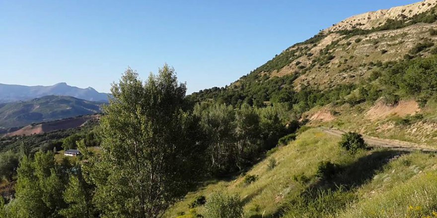 Divriği Akbaba Köyü Resimleri