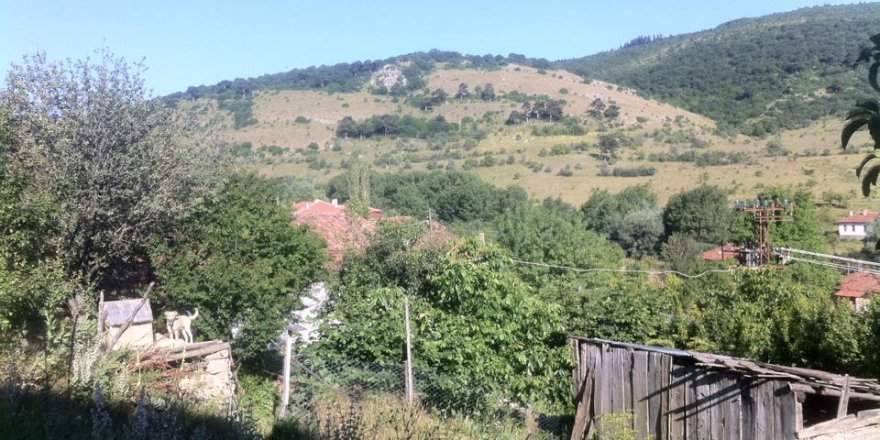 Gerede Ağızörengüney Köyü Resimleri