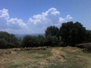 Bingöl Ardıçtepe Köyü