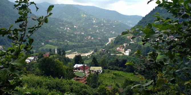 Of Saraçlı Köyü