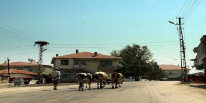 Edirne Korucu Köyü