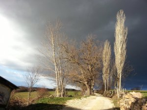 Bolu Ağaççılar Köyü