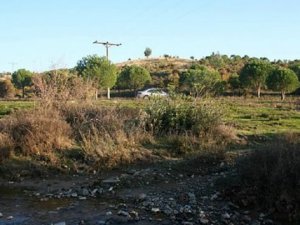 Balıkesir Ayvalık Bağyüzü Köyü