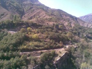 Bitlis Ağaçköprü Köyü