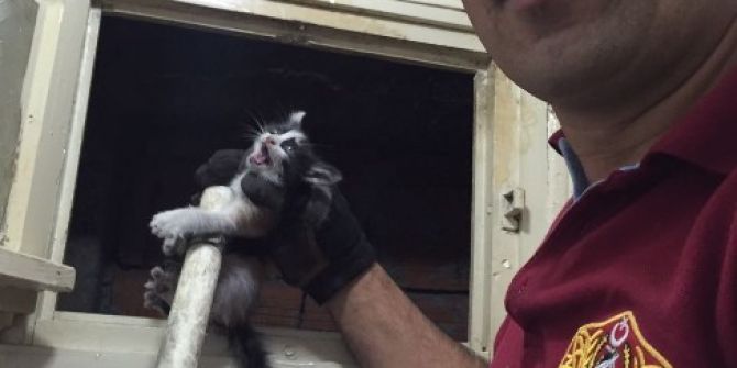 Yavru Kedi İtfaiye Ekipleri Tarafından Kurtarıldı