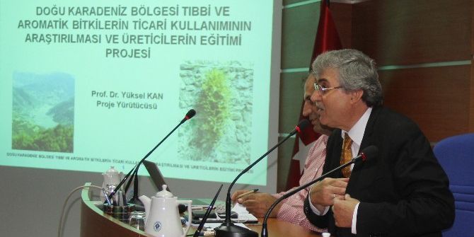 Doğu Karadeniz’de Bitki Envanteri Çıkartılıyor