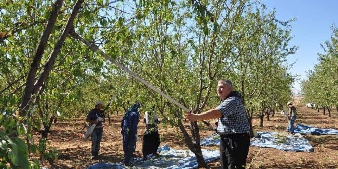Başkan Turanlı’dan ’Badem’ Açıklaması