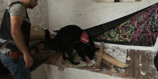 Narkotik Köpeği “Engel” Uyuşturucu Tacirlerinin Korkulu Rüyası