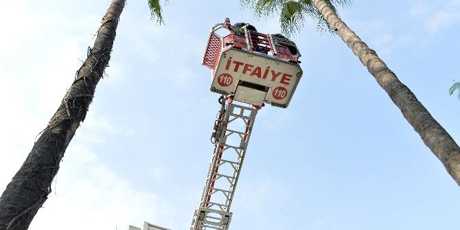 Mersin’de Güvercin Kurtarma Operasyonu