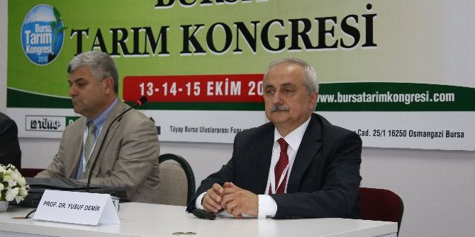 Su, Savaşlardan Çok Daha Önemli Bir Krizi Oluşturuyor