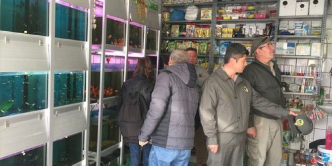 Pet Shoplar Denetlendi