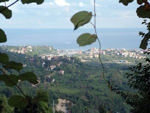 Rize Akdere Köyü