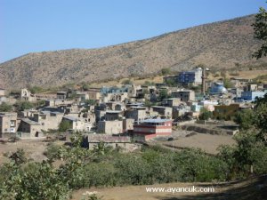 Siirt Dereyamaç Köyü
