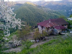 Kastamonu Sulusökü Köyü