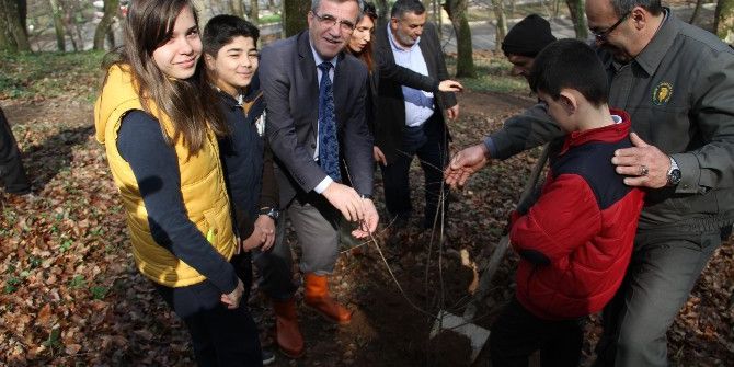 Akyazı Belediyesinden “Dikili Bir Liran Olsun” Kampanyası