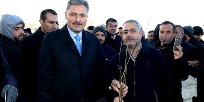 Büyükşehir Belediyesi 646 Bin Fidan Dağıttı