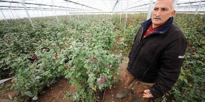Destek Aldı, Sektöründe Karadeniz’in Lideri Oldu