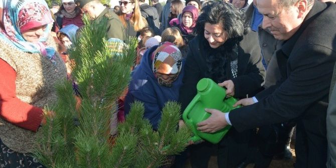 Kırklareli Bereket Ormanı’nda 52 Bin Fidan Toprakla Buluştu