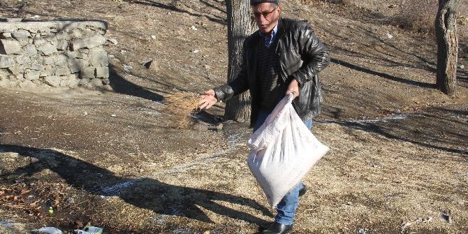 Osmancık’ta Kuşlar İçin Yem Bırakıldı