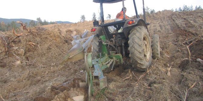 Kastamonu’da Orman Gençleştirme Çalışmaları Sürüyor