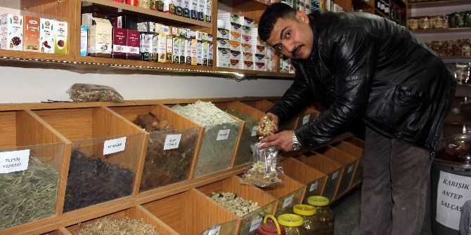 Doğal Antibiyotiğe Yoğun İlgi