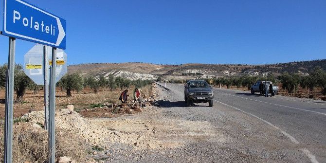 Karayolu Kenarına 10 Bin Adet Fidan Dikiliyor