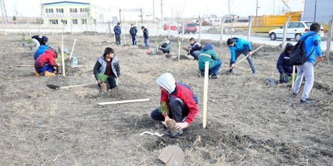 Öğrenciler 150 Karaçamı Toprakla Buluşturdu