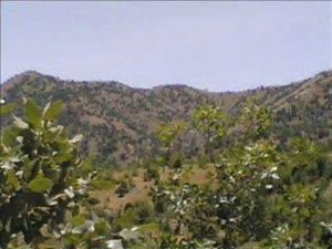 Şırnak Balveren Köyü