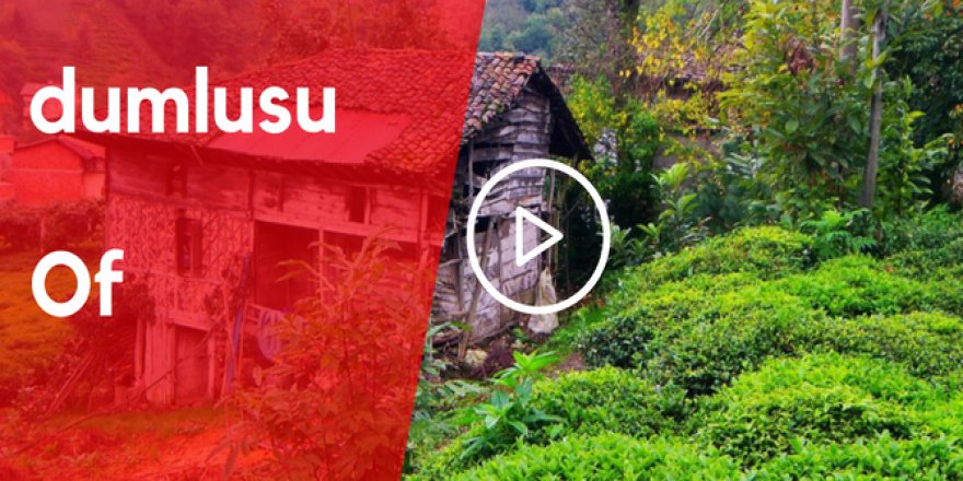 Of Dumlusu Köyü Video