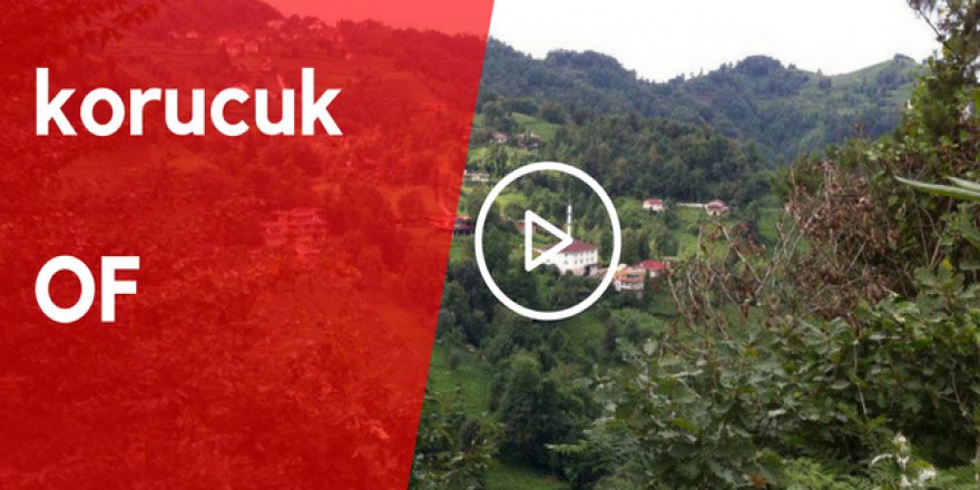 Of Korucuk Köyü Video