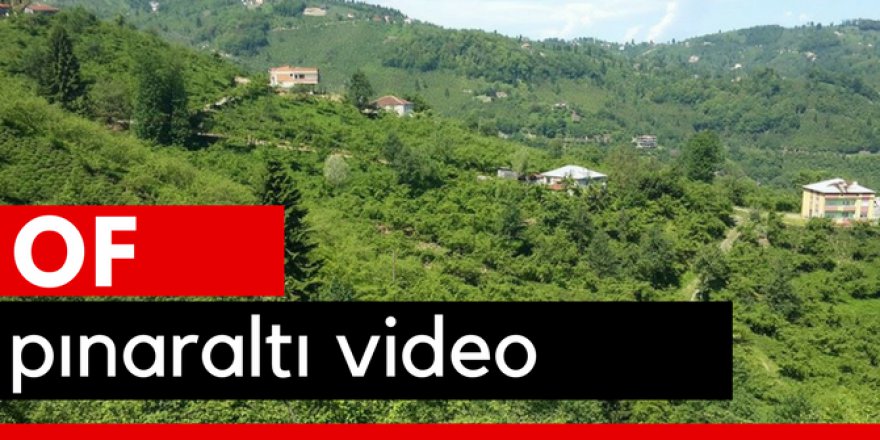 Of Pınaraltı Köyü Video
