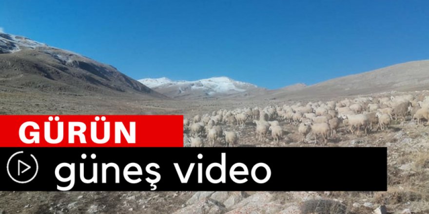 Gürün Güneş Köyü Video