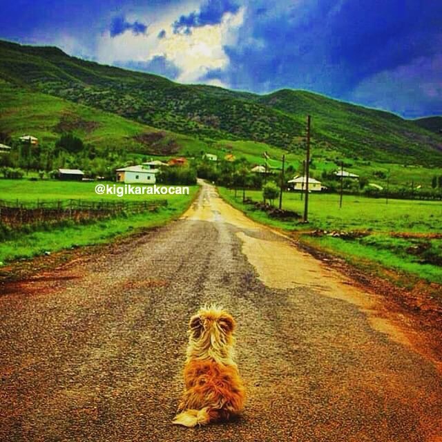Karakoçan Demirdelen Köyü Resimleri 3