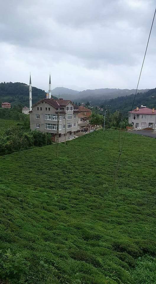 Of Sıraağaç Köyü Resimleri 15