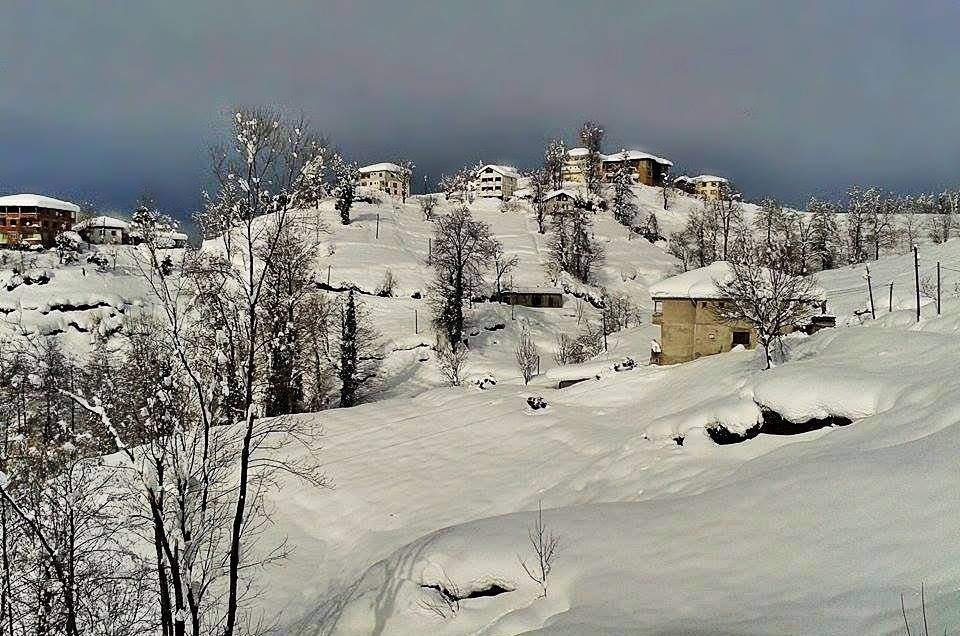 Of Sıraağaç Köyü Resimleri 17