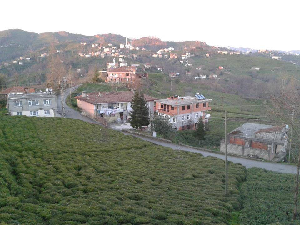 Of Sıraağaç Köyü Resimleri 18