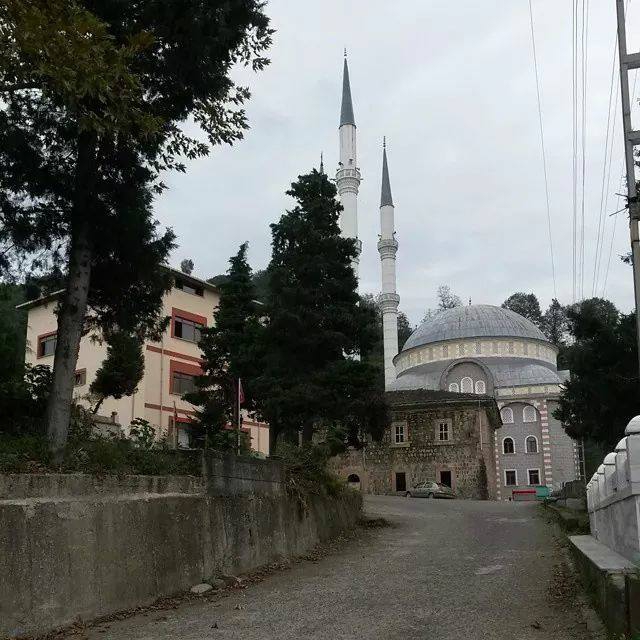 Of Sıraağaç Köyü Resimleri 19