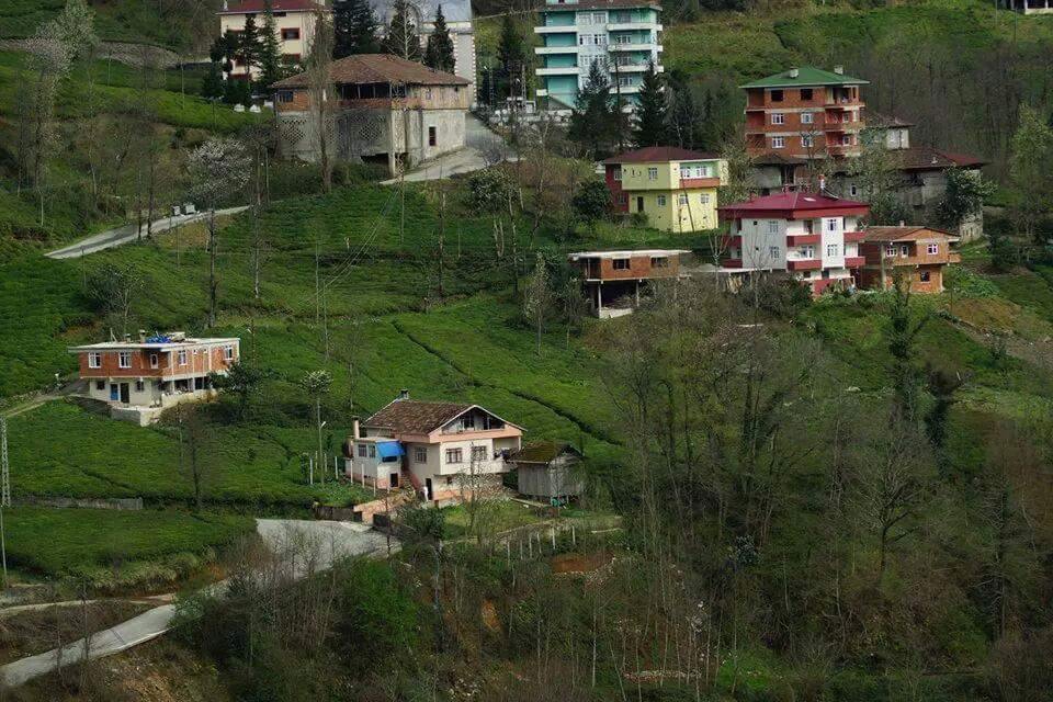 Of Sıraağaç Köyü Resimleri 21