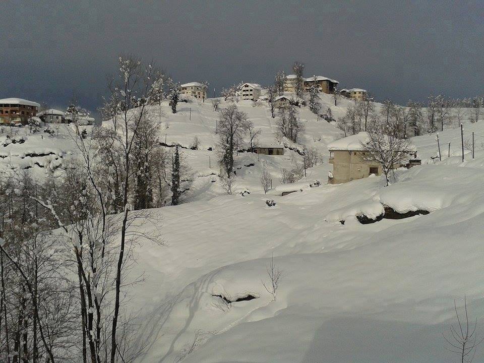 Of Sıraağaç Köyü Resimleri 23