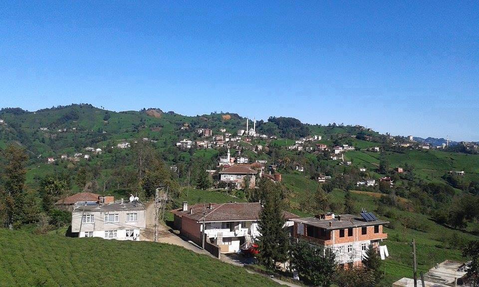 Of Sıraağaç Köyü Resimleri 24