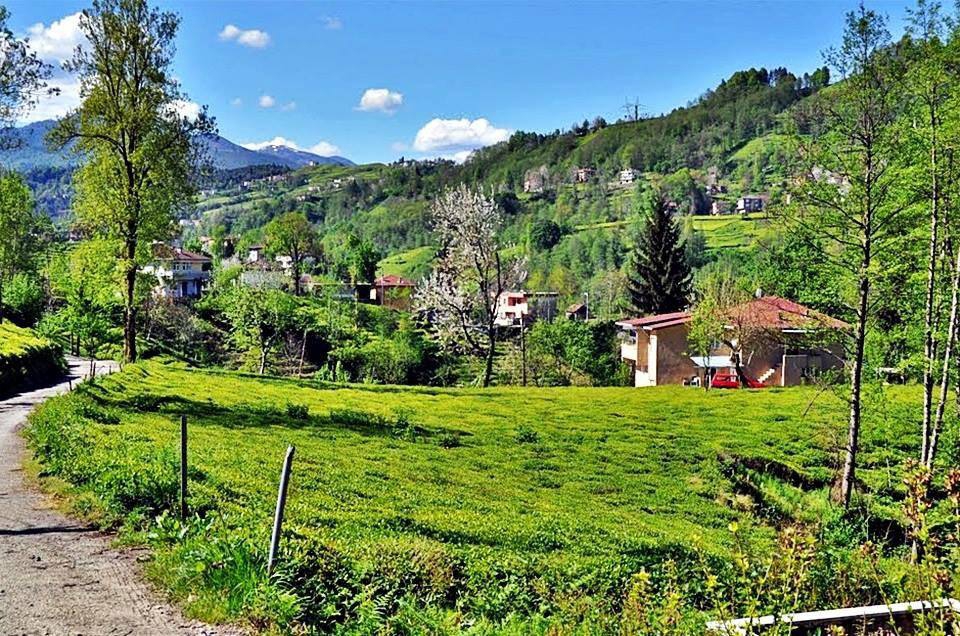 Of Sıraağaç Köyü Resimleri 27