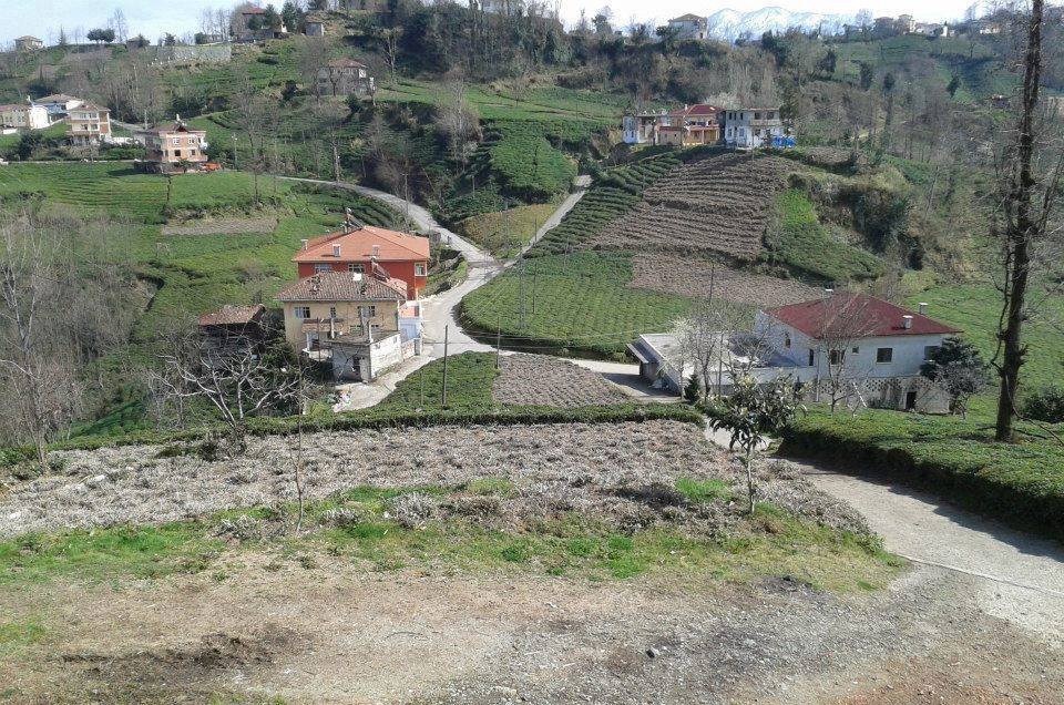 Of Sıraağaç Köyü Resimleri 29