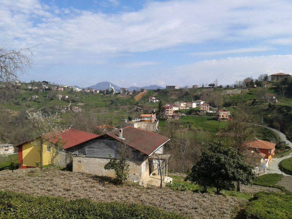 Of Sıraağaç Köyü Resimleri 30