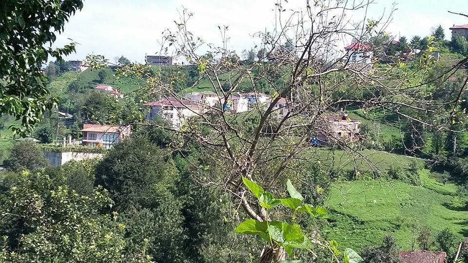 Of Sıraağaç Köyü Resimleri 31