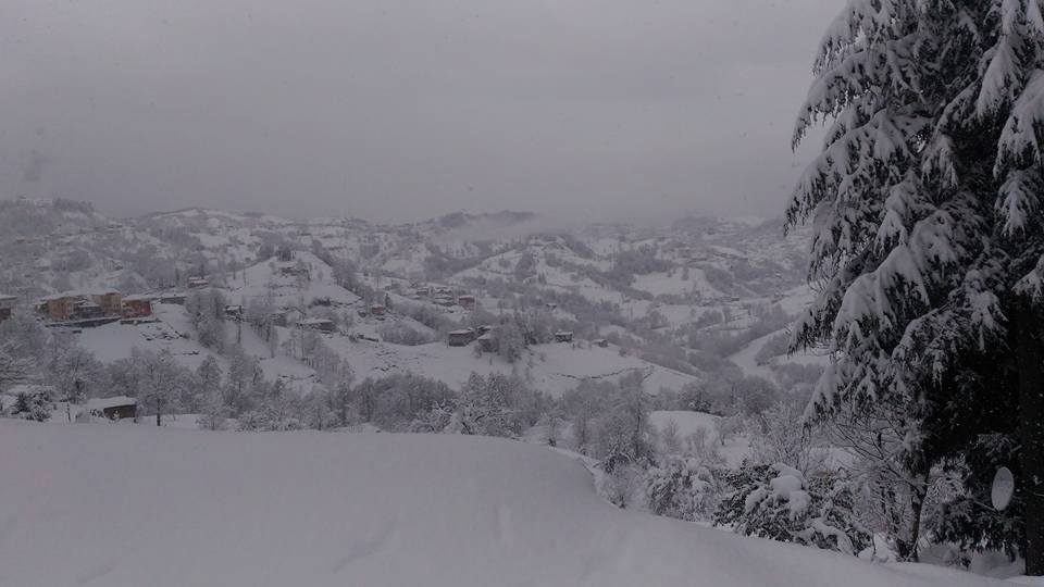 Of Sıraağaç Köyü Resimleri 6