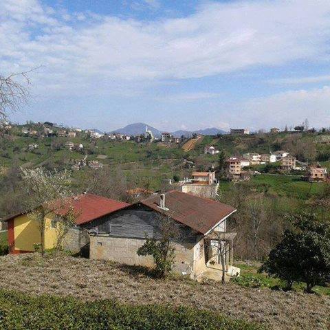 Of Sıraağaç Köyü Resimleri 8