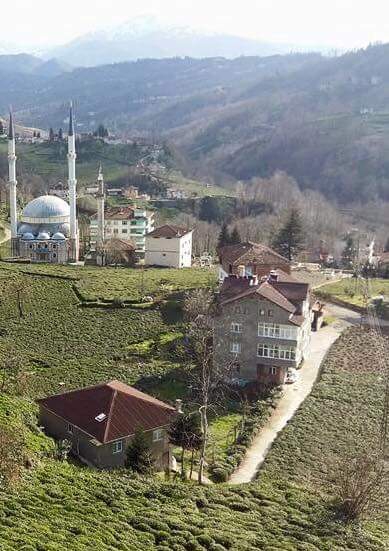 Of Sıraağaç Köyü Resimleri 9