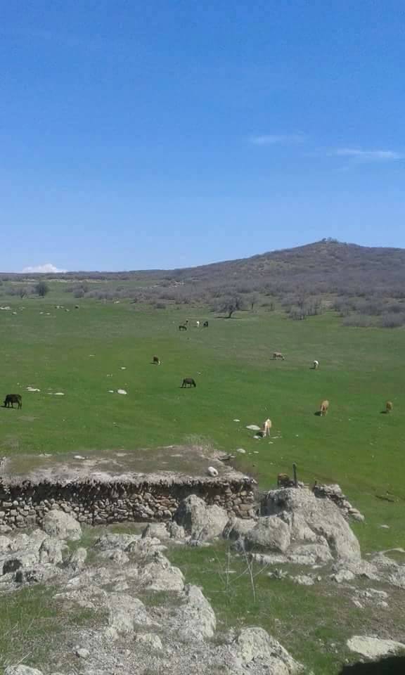 Karakoçan Karakoçan Köyü Resimleri 2