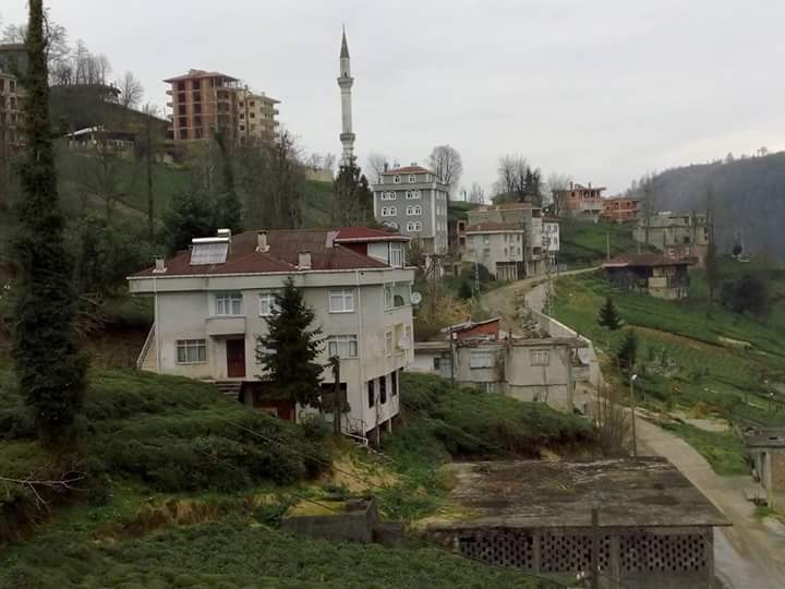 Of Sugeldi Köyü Resimleri 12