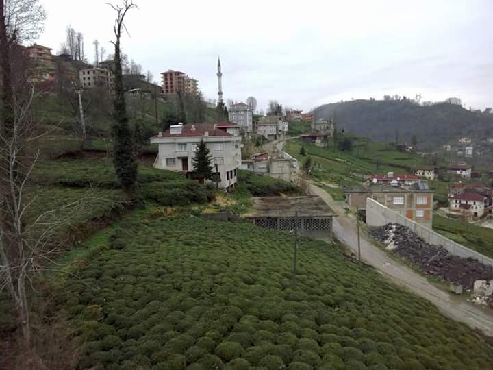 Of Sugeldi Köyü Resimleri 13